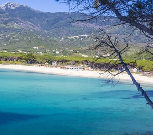 The Beach 