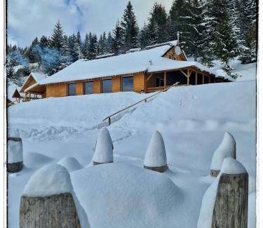 Horea Cabin | 120 m² Lodge ∙ 4 bedrooms ∙ 12 guests