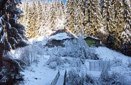 Budureasa Cabin | 160 m² Lodge ∙ 7 bedrooms ∙ 26 guests