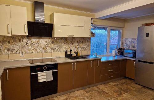 Cartisoara House | 200 m² House ∙ 3 bedrooms ∙ 6 guests