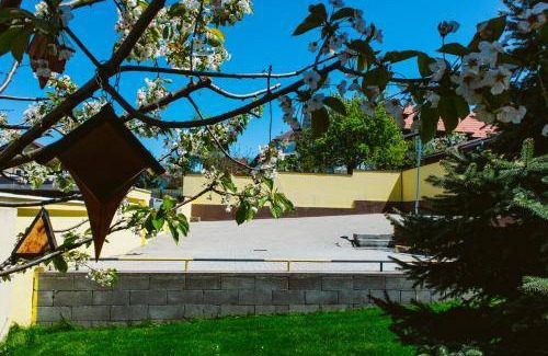 Tirgu Mures Bed & Breakfast | 30 m² Bed and breakfast ∙ 3 guests