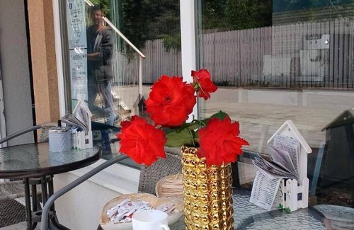 Ghimbav Apartment | 48 m² Serviced apartment ∙ 4 guests