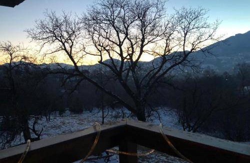 Bran Bed & Breakfast | 50 m² Bed and breakfast ∙ 6 bedrooms ∙ 14 guests
