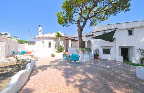 Forio Bed & Breakfast | 55 m² Bed and breakfast ∙ 5 guests