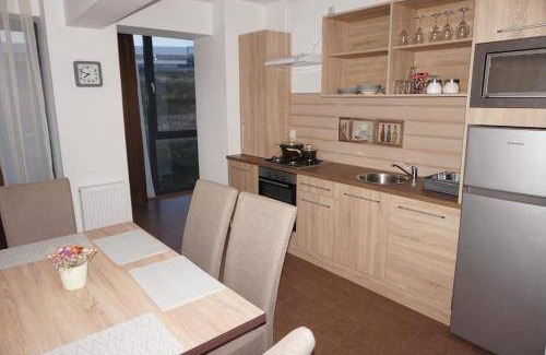 Tirgu Mures Apartment | 65 m² Apartment ∙ 4 guests