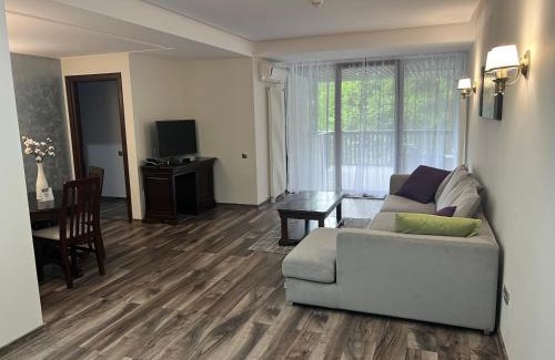 Poiana Brasov Apartment | Alpin Resort Apartments Deluxe 2406
