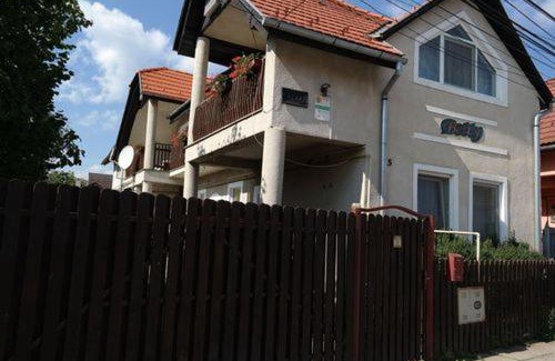 Miercurea-Ciuc House | Betty Panzio
