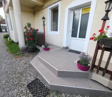 Miercurea-Ciuc House | Betty Panzio