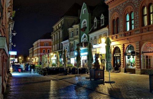 Brasov City Centre Apartment | Brasov Apartment in Historic Center