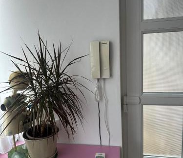 Baia Mare Villa | Casa Blanka