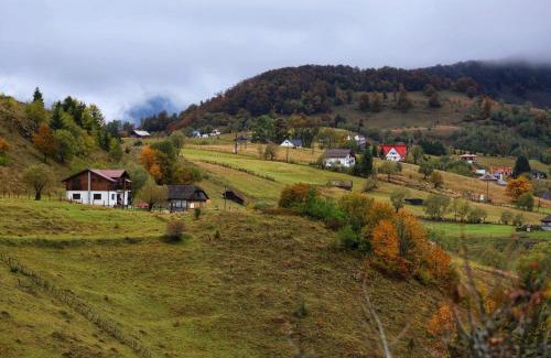 Sirnea House | Dealul Craiului