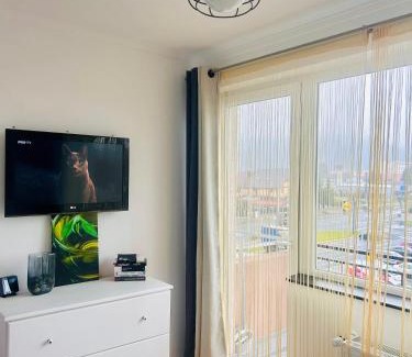 Rasnov Apartment | Fortress View2