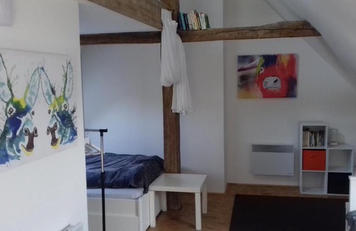 Malicorne-sur-Sarthe Apartment | Loft