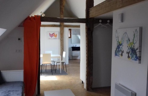 Malicorne-sur-Sarthe Apartment | Loft