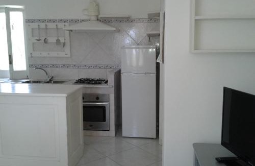 Forio House | Pitosforo - Ulivo - Cocco