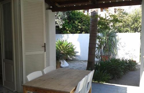 Forio House | Pitosforo - Ulivo - Cocco