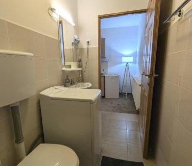 Tirgu Mures Apartment | Sandor Central Studio Apartment
