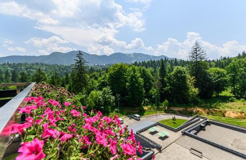 Poiana Brasov Apartment | Sarah Deluxe Apartment in SILVER MOUNTAIN