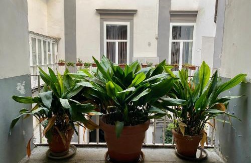 Montecalvario Apartment | Un Posto Al Centro
