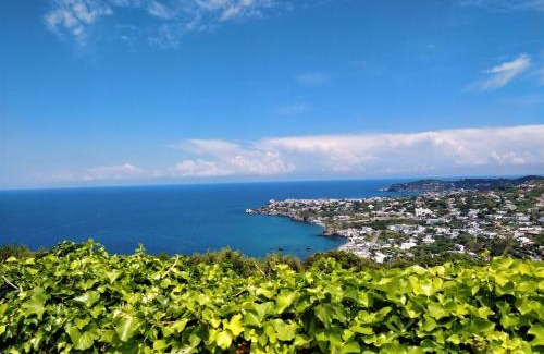 Panza Apartment | Villa Andrea