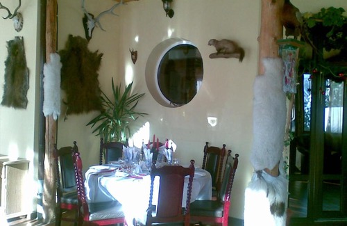 Bran House | Villa Katharina Bran