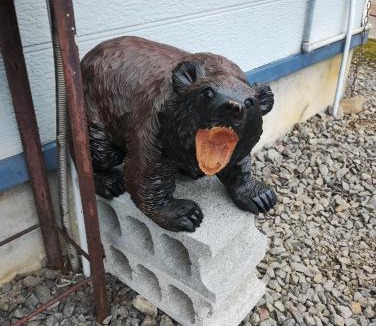 Wassamu Hotel | ライダーハウス和寒町ヒグマの家