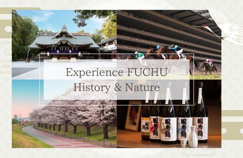 Fuchu Apartment | ラフィーネハイツ201