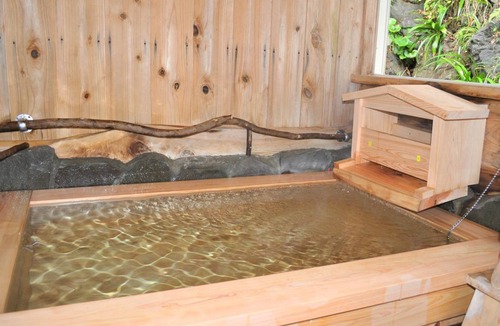 Higashiizu Hotel | 12 m² Hotel ∙ 1 bedroom ∙ 3 guests