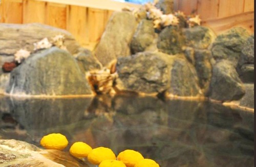 Higashiizu Hotel | 12 m² Hotel ∙ 1 bedroom ∙ 4 guests