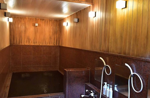 Yuzawa Hotel | 13 m² Hotel ∙ 1 bedroom ∙ 5 guests