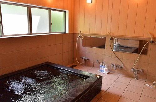Yuzawa Hotel | 13 m² Hotel ∙ 1 bedroom ∙ 5 guests