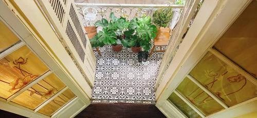 Ba Dinh Apartment | 3-bed cozy apartment for 9 pax, locate in the most beautiful road in Hanoi Old Quarter