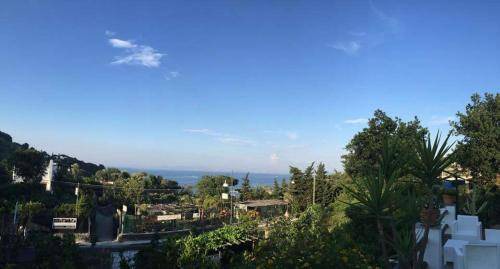 Forio Bed & Breakfast | 30 m² Bed and breakfast ∙ 4 guests