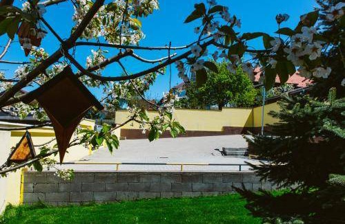 Tirgu Mures Bed & Breakfast | 30 m² Bed and breakfast ∙ 3 guests