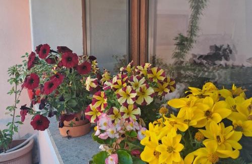 Campagnano di Roma House | A casa di Matisse