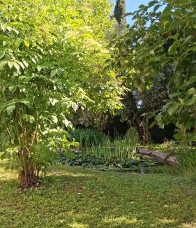 Poggio delle Ginestre Apartment | A due passi dal lago