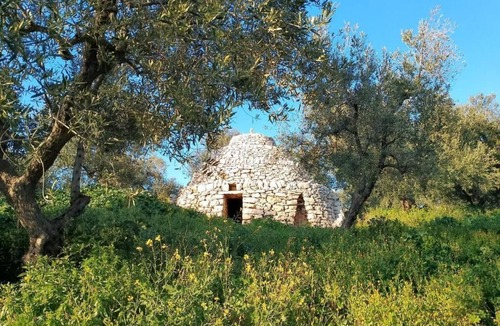 Bisceglie House | Agricampeggio wishne