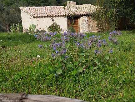 Itri House | Agriturismo La Torre Rossa