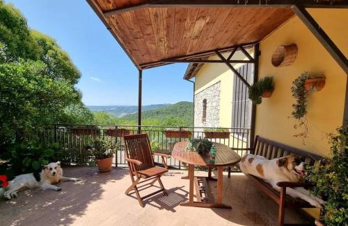 Guardia Perticara Bed & Breakfast | Agriturismo Masseria Pinto