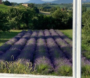 Acquaviva House | Agriturismo Metina