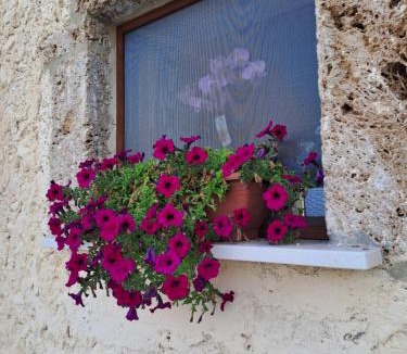 Castelliri House | Agriturismo Pavoni