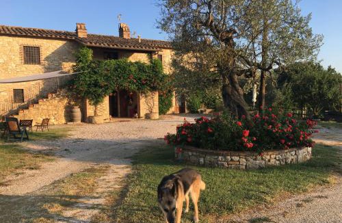 Amelia House | Agriturismo Podere dell' Olmo