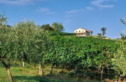 Cavaso del Tomba Apartment | Agriturismo Riva Beata