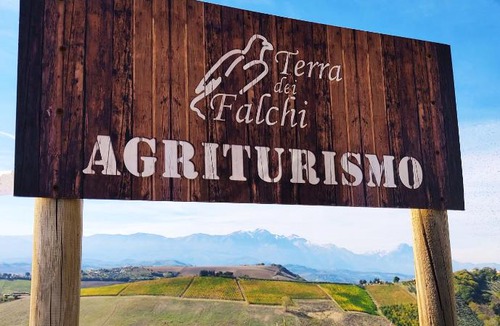 Castilenti House | Agriturismo Terra dei Falchi