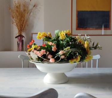 Castilenti House | Agriturismo Terra dei Falchi