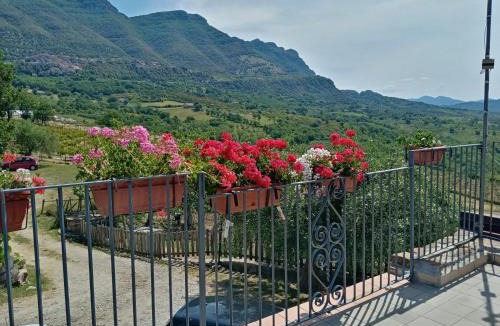 Monteforte Cilento House | Agriturismo Tre Morene