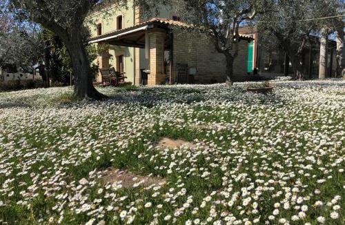 Vetiche I House | Agriturismo Villa Vetiche