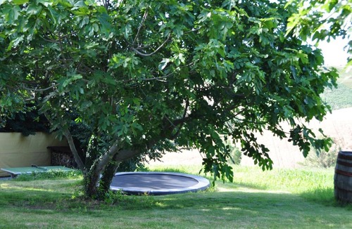 Belvedere Ostrense Apartment | Amazing apartment in Belvedere Ostrense with garden