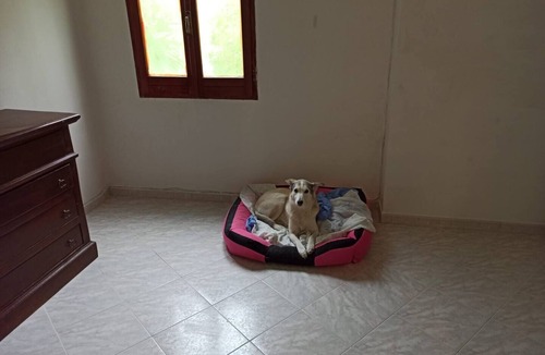 Ischitella House | Amazing view of sea, lake and islands. pets allowed, huge terrace.