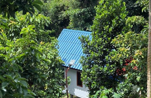 Koh Rong House | Amber Koh Rong